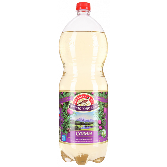Sajany (plastic bottle 2L)